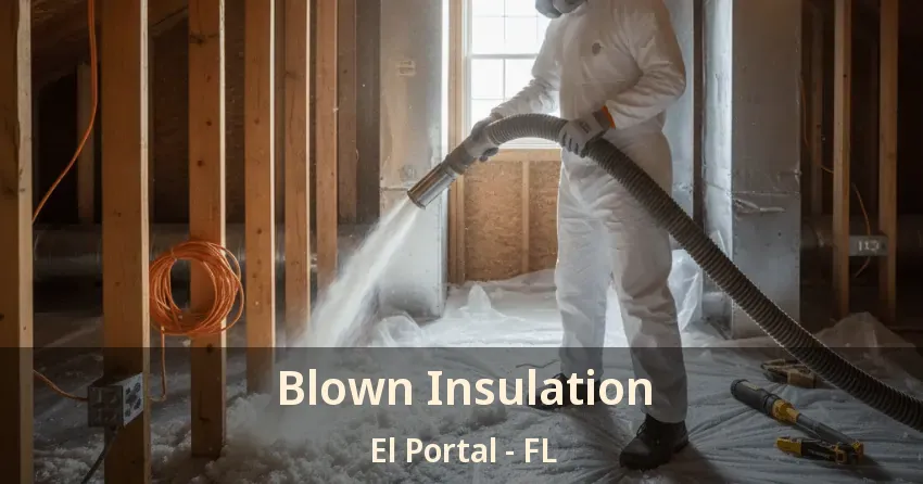 Blown Insulation El Portal - FL