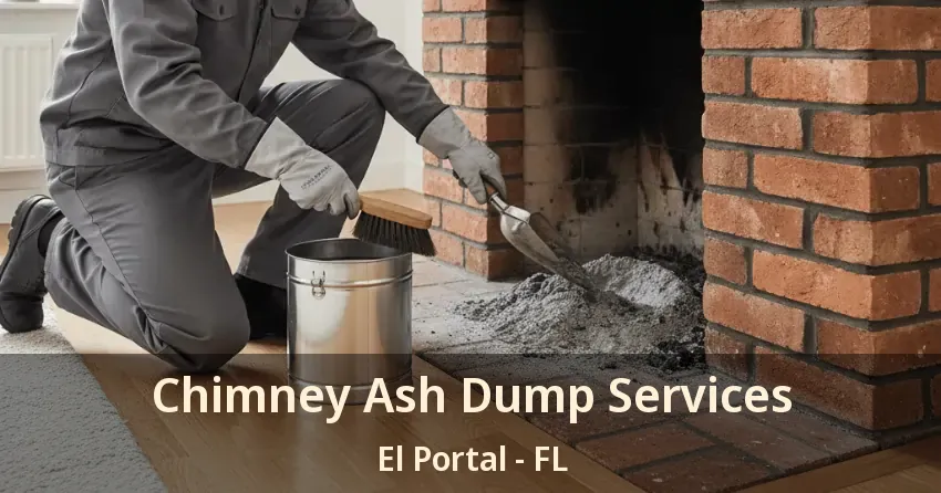 Chimney Ash Dump Services El Portal - FL