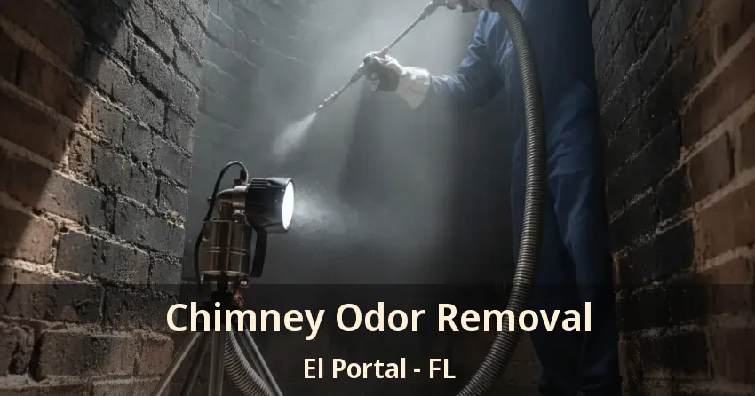 Chimney Odor Removal El Portal - FL