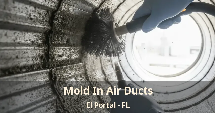 Mold In Air Ducts El Portal - FL