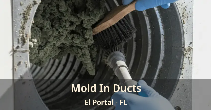 Mold In Ducts El Portal - FL